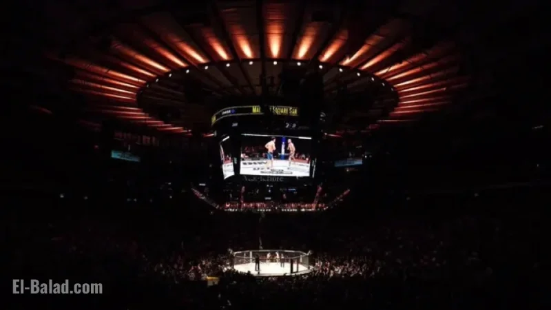 VeChain UFC 322 Prelim Results: Della Maddalena Faces Makhachev