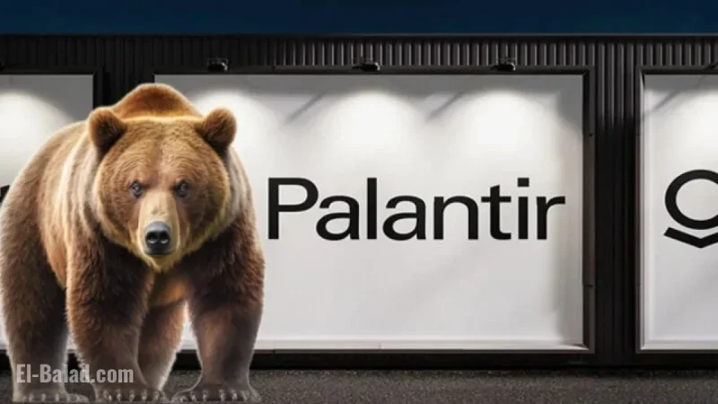Wall Street Analyst Urges Palantir Stock Sell-off