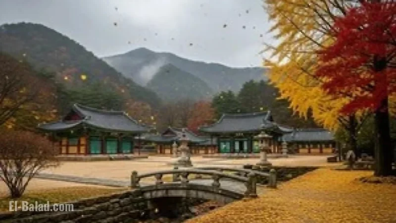 Chilly, Overcast Early Winter Weather Forecast for Gyeryongsan Tomorrow