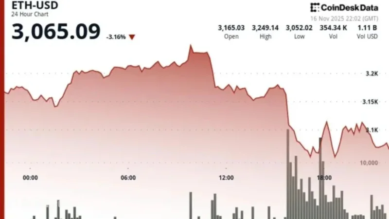 Ether Falls Below $3,100; Investors View ETH as Riskier Than BTC