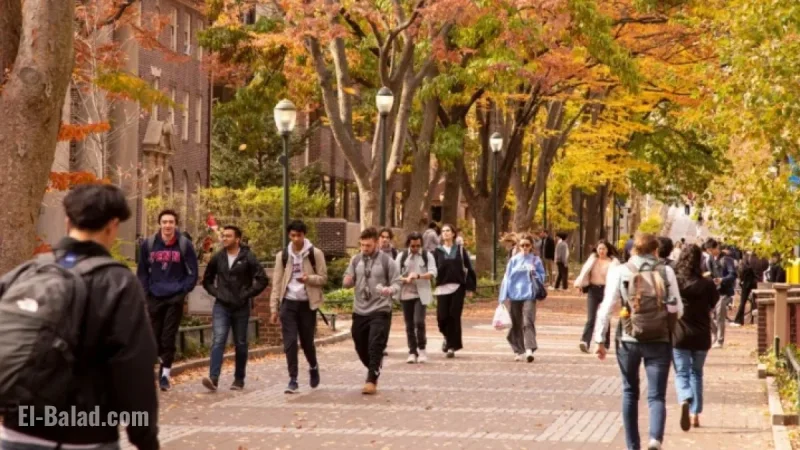 International Student Enrollment Drops Significantly in U.S. Under Trump Immigration Policies