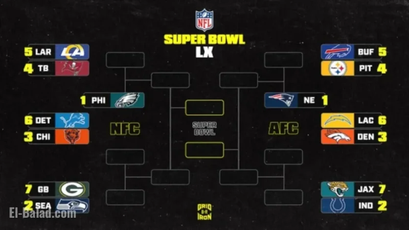 NFL Playoffs 2025-26: Updated Week 11 Standings for AFC and NFC