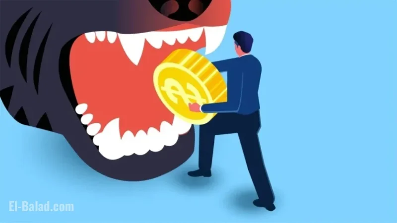 Rapid Growth of ‘Buy Now, Pay Later’ Raises Global Concerns