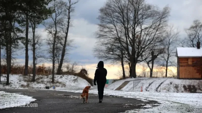 Severe Winter Storm Warning: 18 Inches of Snow Expected