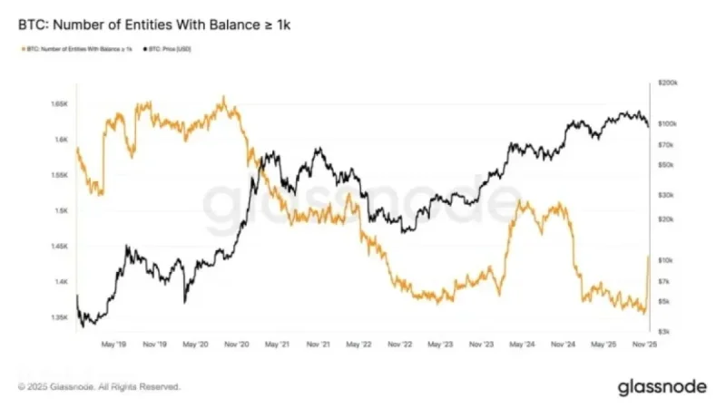 Bitcoin Price Analysis: Whales Boost Market Activity