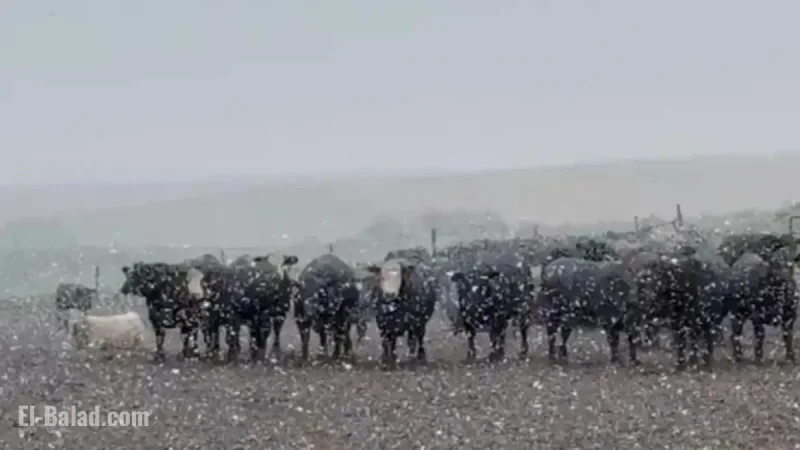 Midwest Braces for Intense First Snowfall of the Season