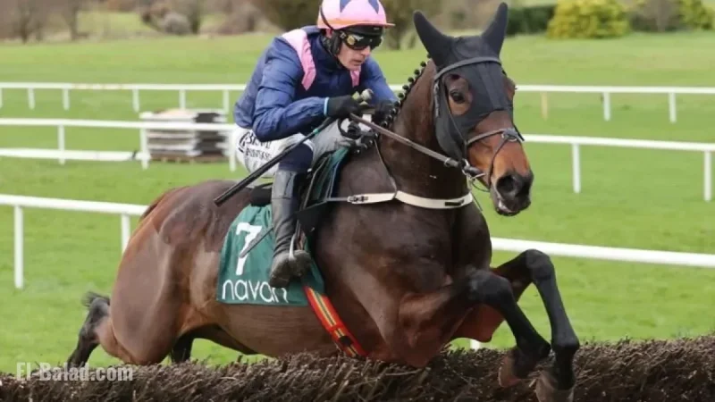 Supreme Scorer Kopek Des Bordes Shines in Electric Chasing Debut