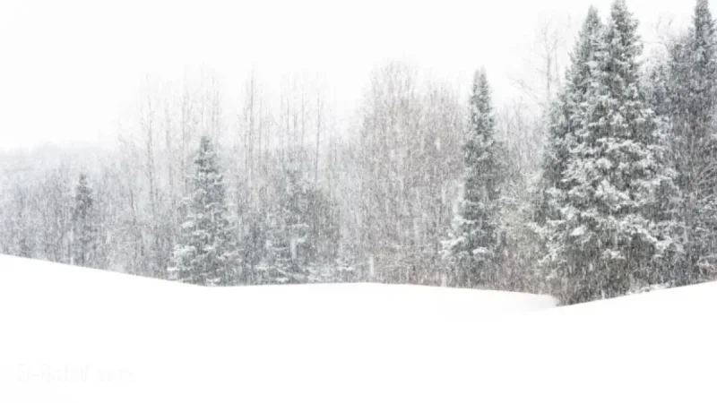 Winter Storm to Blanket Northeast with 16 Inches of Snow