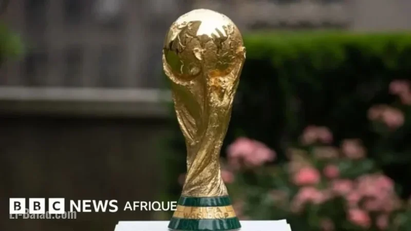 2026 World Cup: Which Countries Have Qualified?