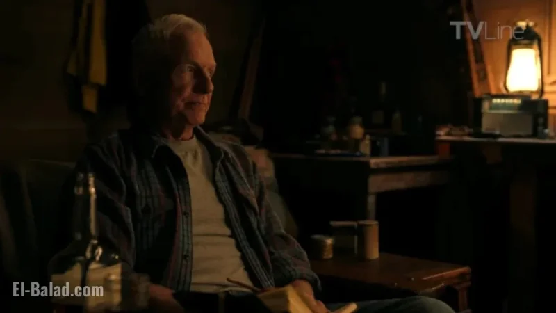 NCIS Origins Crossover: Gibbs Gains New Companion, Follows Familiar Path