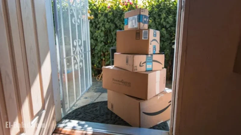 Top and Bottom Parcel Delivery Companies Unveiled