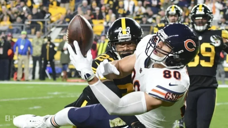 Bears vs. Steelers: Week 12 Predictions
