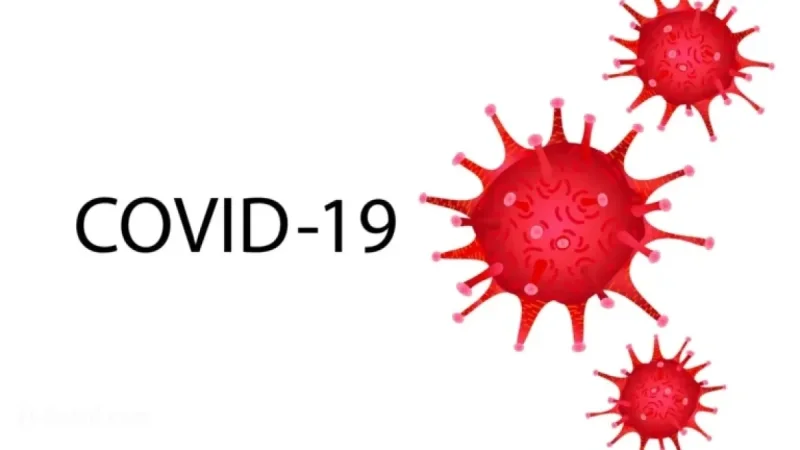COVID November 2025: Essential Updates You Need to Know
