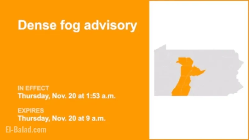 Dense Fog Advisory in Central Pa. Limits Visibility to 1/4 Mile Until Thursday