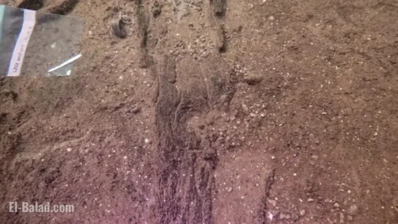 Wisconsin Archaeologists Uncover 16 Ancient Canoes in Prehistoric Site