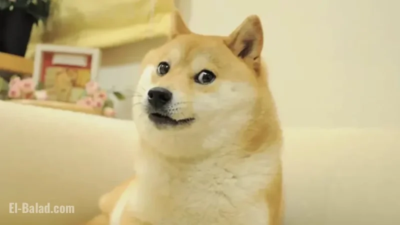 21Shares Unveils Leveraged Dogecoin ETF After Completing FalconX Acquisition