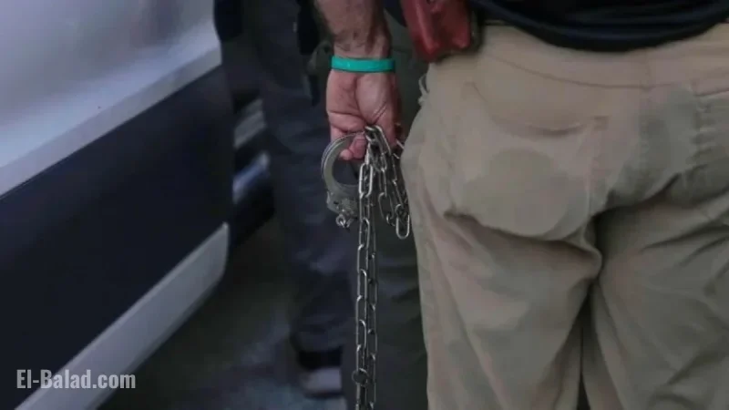 Appeals Court Halts Release of Immigrants Detained in Illinois Crackdown