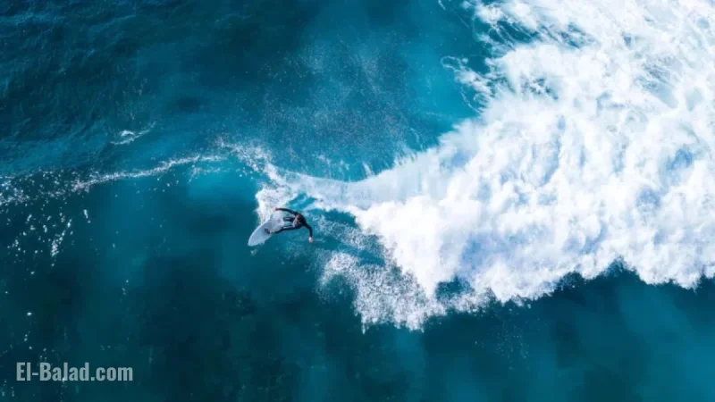 Deadly Shark Attacks in Reunion: Surfing Gradually Resumes Post-Crisis