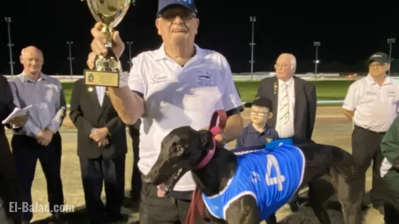 NSW Greyhound Racing Highlights – November 21