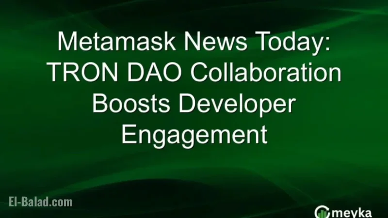 TRON DAO Collaboration Enhances Developer Engagement on Metamask