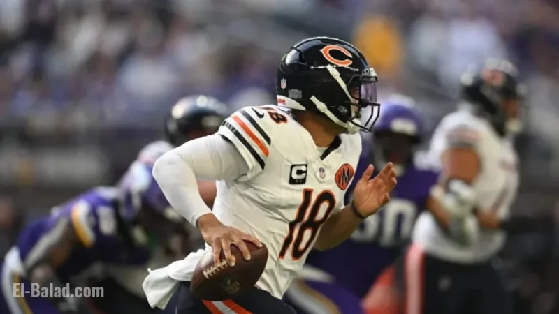 Bears’ Chances to Triumph Over Steelers in Week 12 Showdown