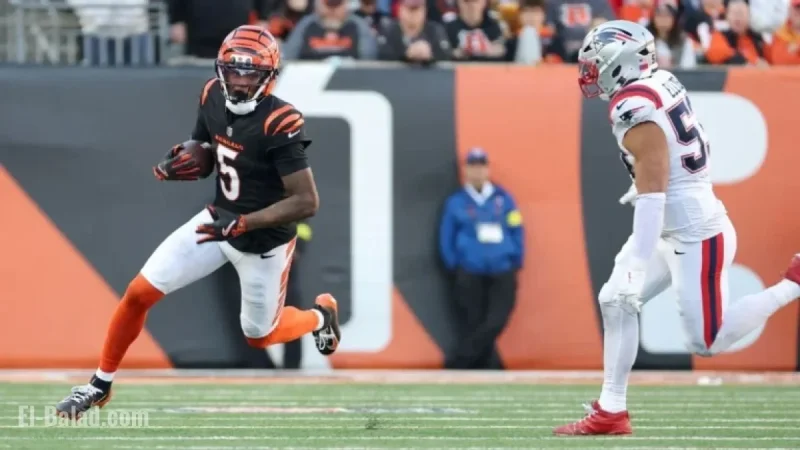 Bengals’ Higgins Suffers Concussion from Turf Impact