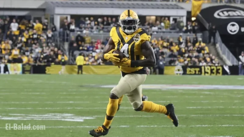 DK Metcalf Injury Update: Steelers WR’s Week 12 Game Status Revealed