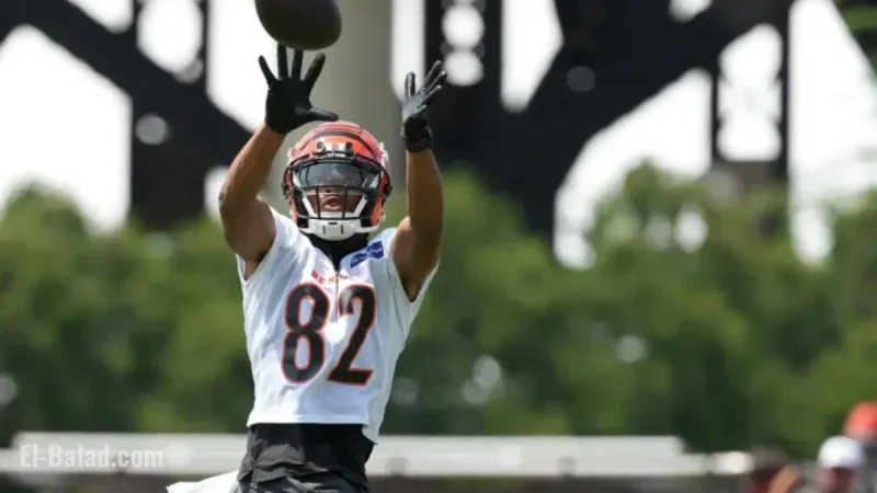 Mitchell Tinsley’s 2025 Net Worth: NFL WR Salary & Career Earnings Overview