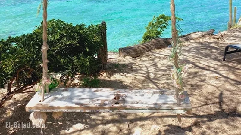 Paradise Awaits: Swing into Aruba’s Beauty with Caribbean Photo of the Week