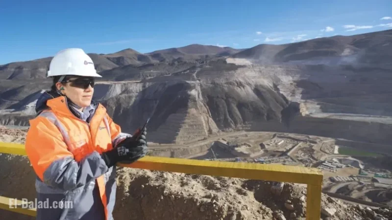 BHP Pursues Anglo Buyout, Adding Drama to Merger Story