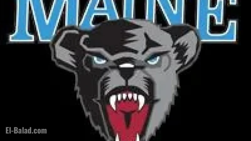Eagles Defeat Black Bears in University of Maine Athletics Showdown
