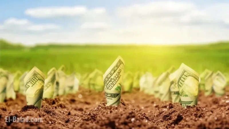 Invest $5,000 in These 4 Dividend Stocks for Long-term Growth
