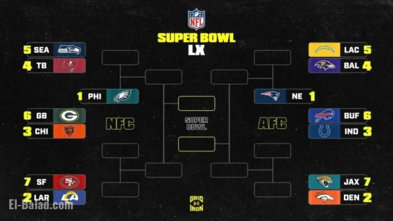 NFL Playoff Bracket 2025-26: Updated AFC, NFC Standings Post Week 12 SNF