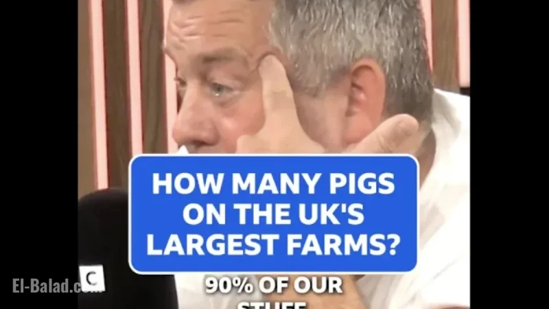 NPA Files Complaint Against BBC for Misleading Pig Farm Size Clip
