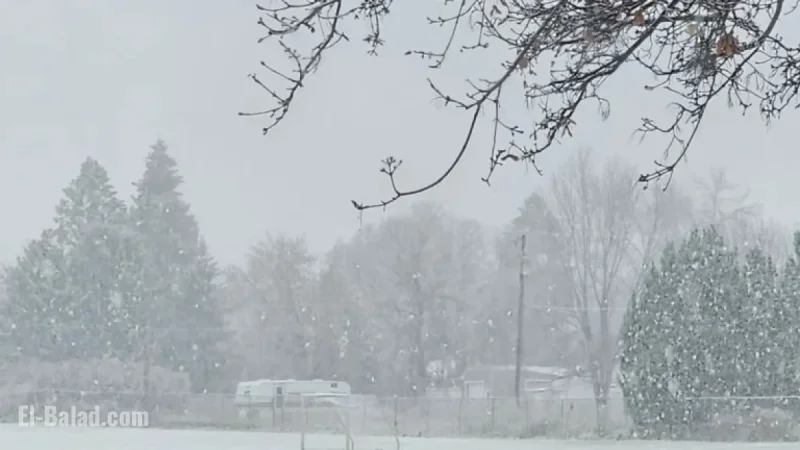 Winter Weather Advisories Issued as Wind Gusts Sweep the Region