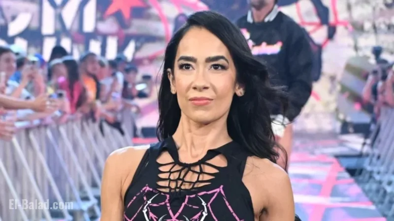 AJ Lee and Stephanie McMahon Tackle Controversial Social Media Dispute