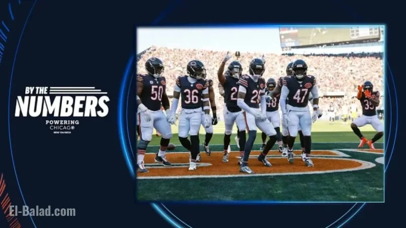Bears Triumph Over Steelers in Week 12 Victory