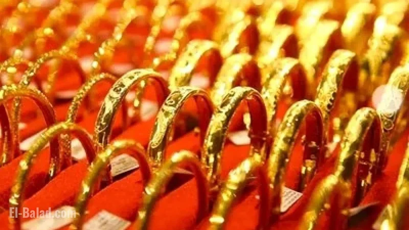 Gold Prices Surge Today, Highest Increase Reaches 2.6 Million VND per Tael