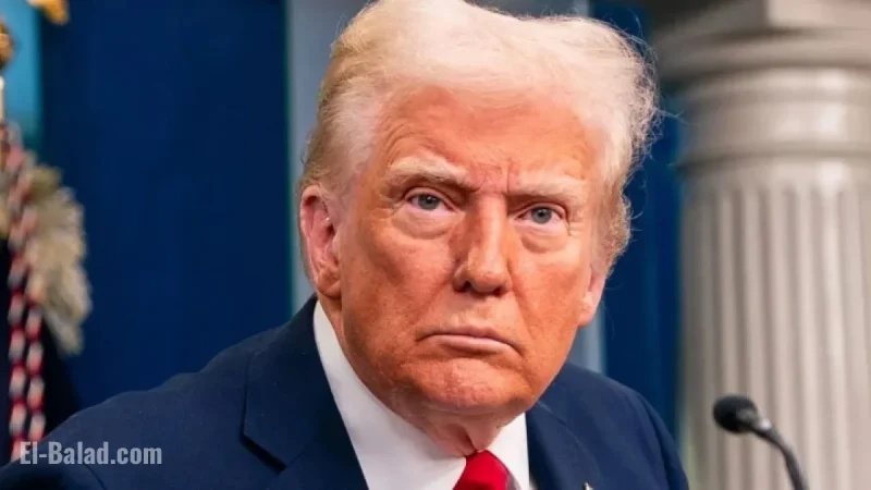 Harry Enten: Trumpworld’s Unusual Strategy Like Selling Ice in the Arctic