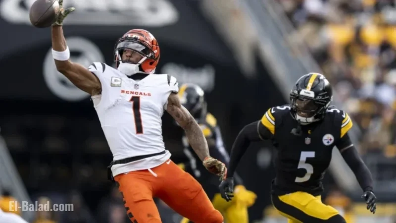 Ja’Marr Chase Apologizes for Spitting Incident, Takes Full Responsibility