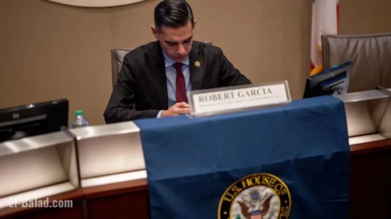 L.A. Holds First Congressional Hearing on Impact of Immigration Raids