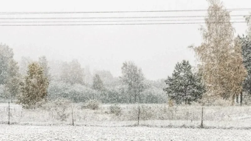 Ontario Faces Snow Squall Watch Issued by Meteorologists