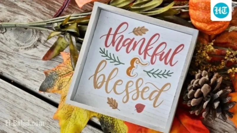 Thanksgiving 2025 Gift Ideas: Cozy Blankets, Journals, Movie Night Essentials