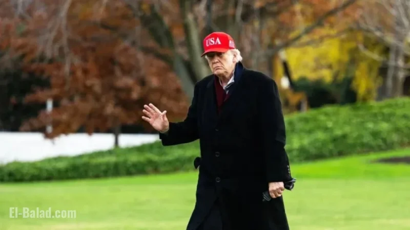 Trump Amplifies Overseas MAGA X Accounts