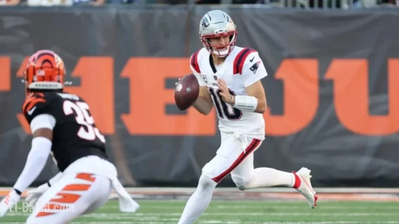Week 12 Results Reshape NFL Playoff Standings
