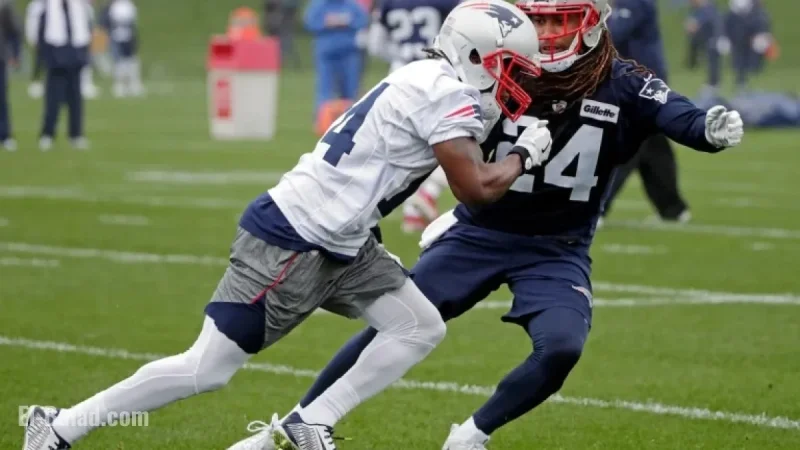Buffalo Bills Sign Former Patriots 1,000-Yard Wide Receiver