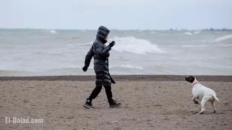 Environment Canada Issues Strong Wind Alert for Toronto