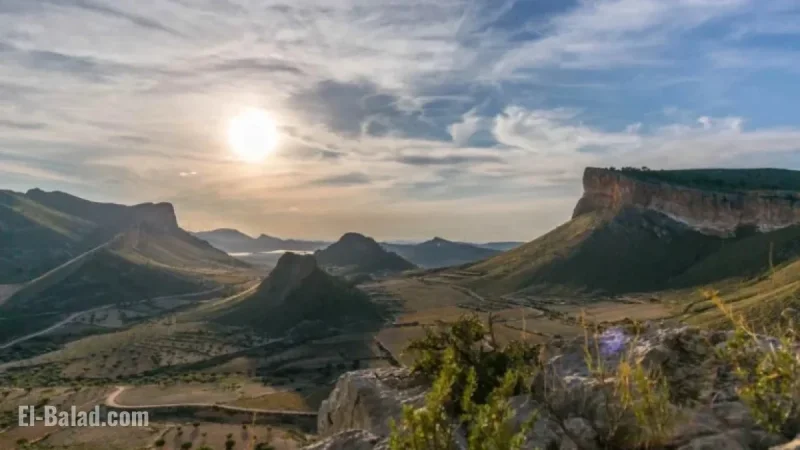 Murcia’s Wine Potential: What It Offers UK Buyers