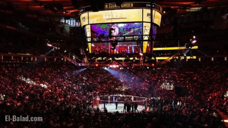 NYC Mayor Pledges Accountability for UFC 322 Brawl Fighters