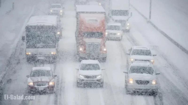 Toronto Braces for Fog and Winds Before Ontario Snowstorm